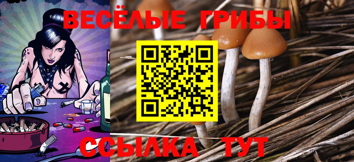 Псилоцибиновые грибы мухоморы  Псилоцибиновые грибы мицелий  закладка  Чусовой  Вход с VPN 